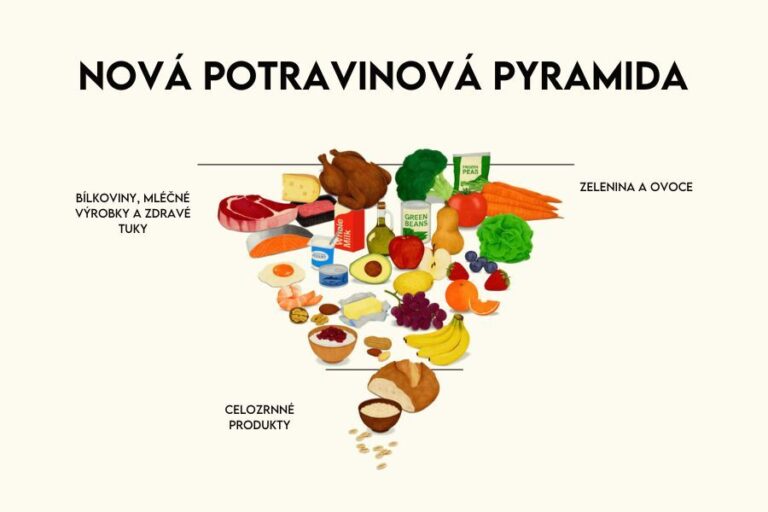 potravinová pyramida 2026