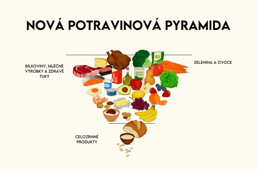 potravinová pyramida 2026